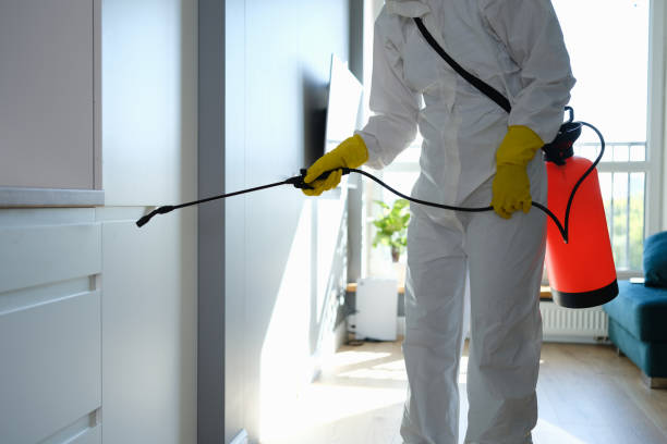 Best Crawl Space Mold Remediation in Metairie, LA