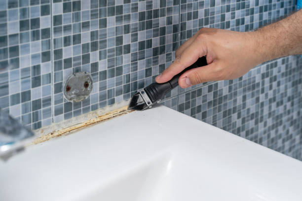 Metairie, LA Mold Remediation Company